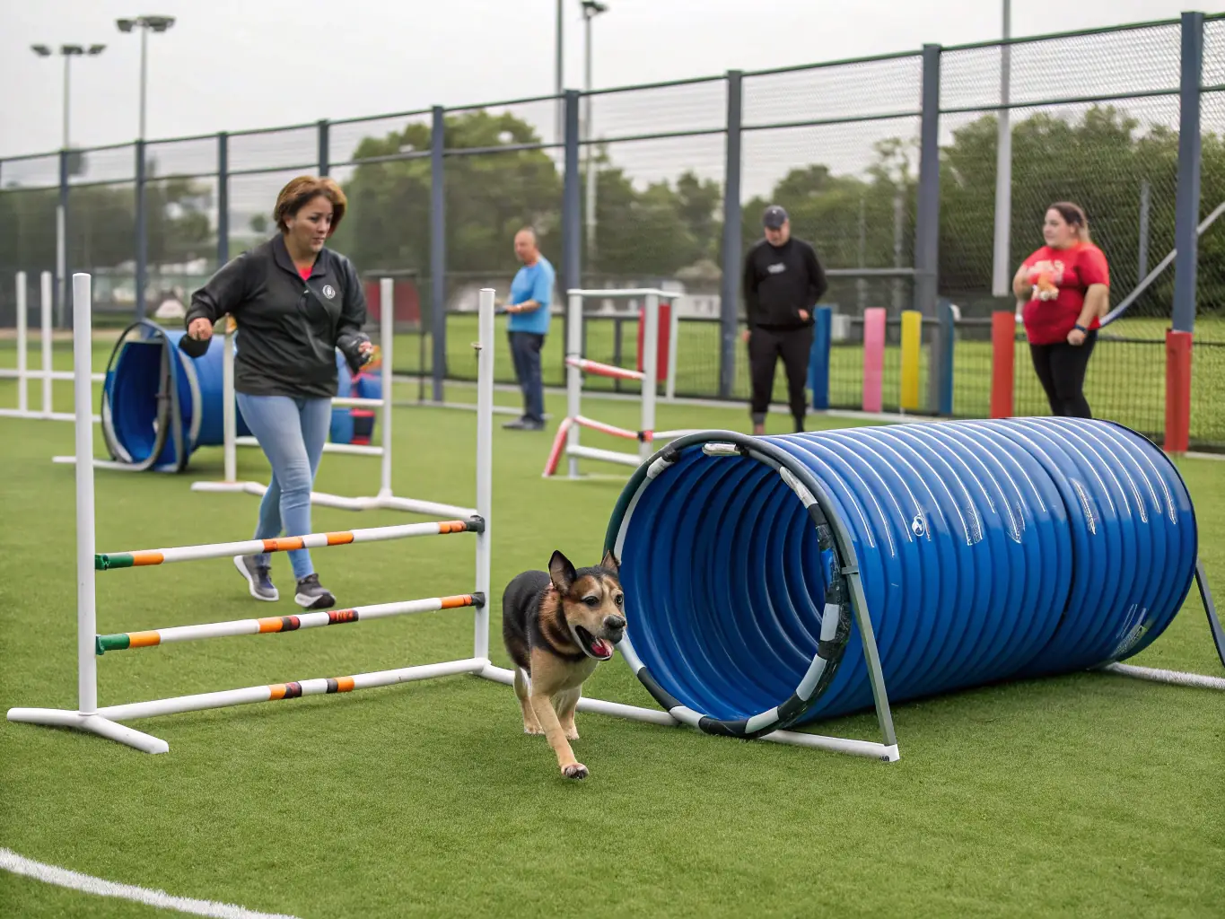 A well-maintained dog park showcasing agility equipment such as ramps, tunnels, and jumps, with dogs actively using the equipment.