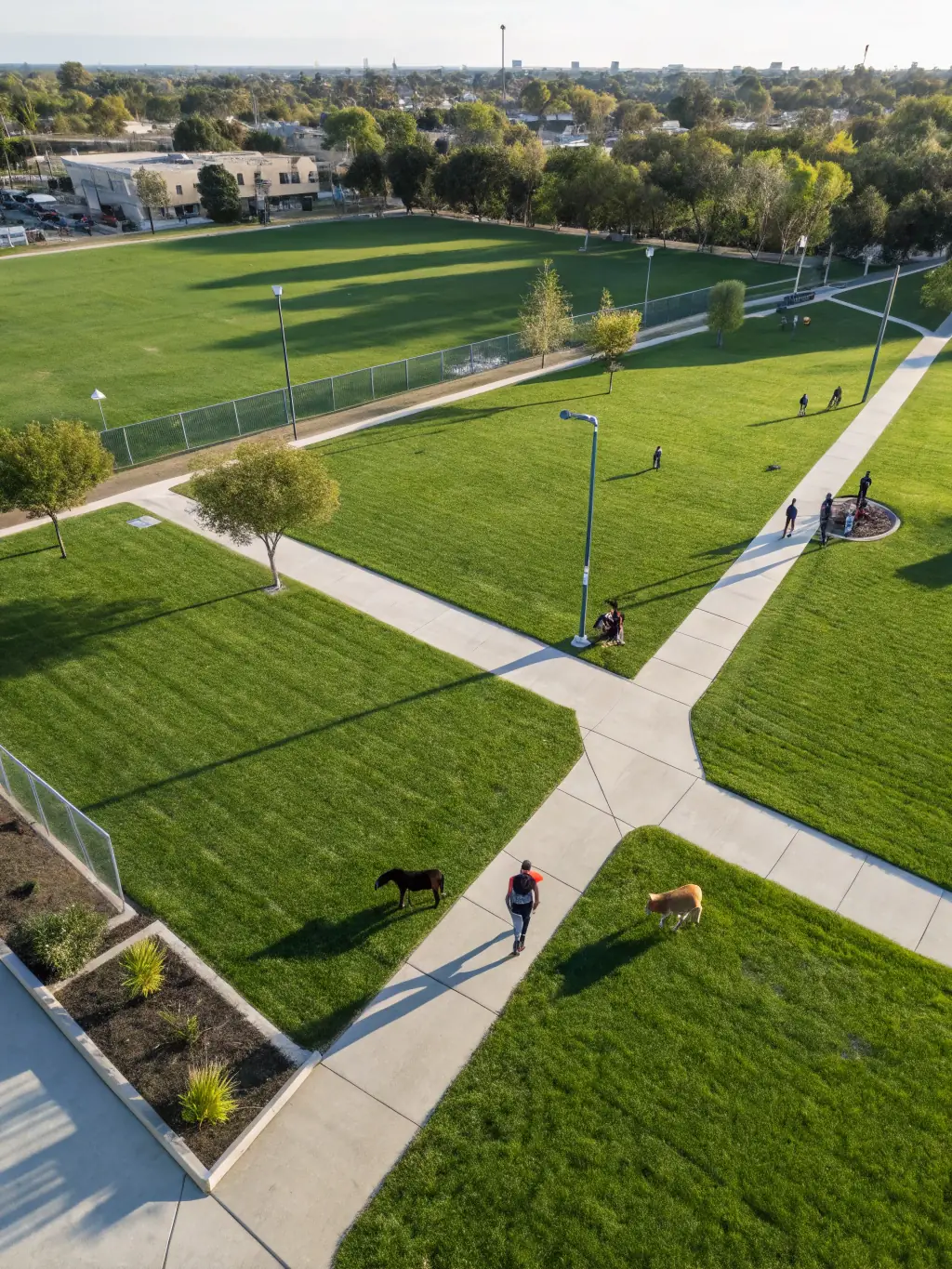 An aerial view of a spacious, well-maintained dog park with separate areas for small and large dogs in Phoenix, Arizona. The park is clean and inviting.