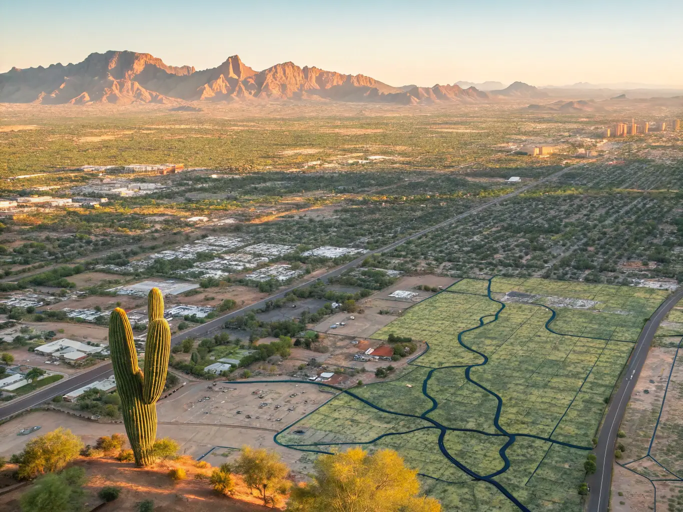A map highlighting different dog park locations across Phoenix, with clear markers indicating the proximity to residential areas and major roads.